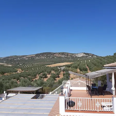 Casa Pino Solo