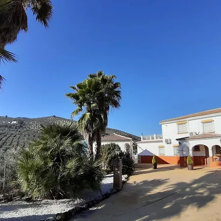 Apartamento Casa Pino Solo *