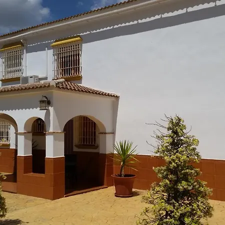 Lejlighed Casa Pino Solo *