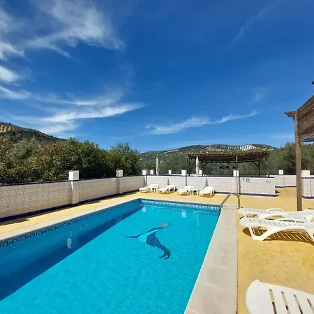 Casa Pino Solo *
