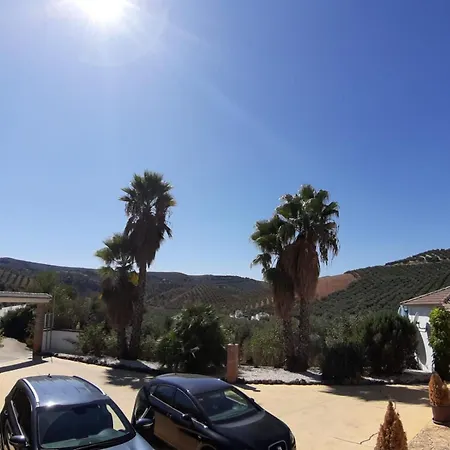 Casa Pino Solo