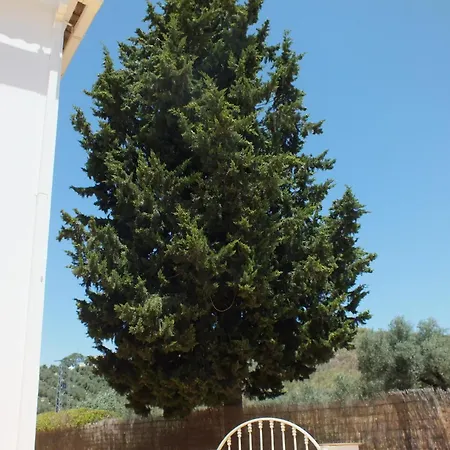Casa Pino Solo * Iznájar